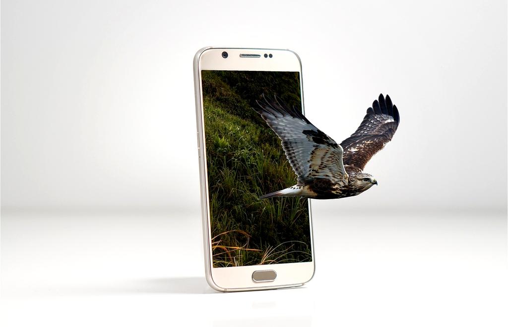 Player wearing advanced neural interface headset in a VR zone