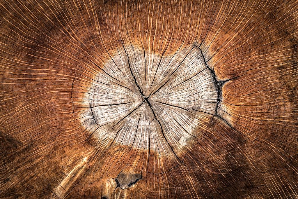 Member enjoying premium VR experience with exclusive headset